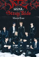 Beyond Live — Stray Kids World Tour dominATE in SEOUL