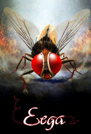 Eega