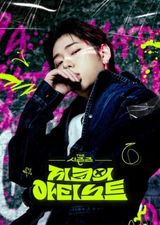 The Seasons Season 5: Zico's Artist