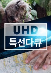 UHD Special Documentary