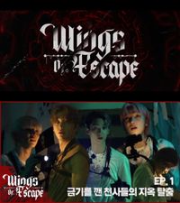 Wings Of Escape