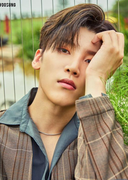 Choi Seong Hyeok (Woo Sung - Snuper)