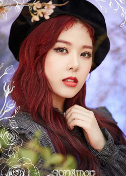 Kim Do Hee (High.D - SONAMOO)