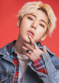 Woo Ji Ho (Zico - Block B)